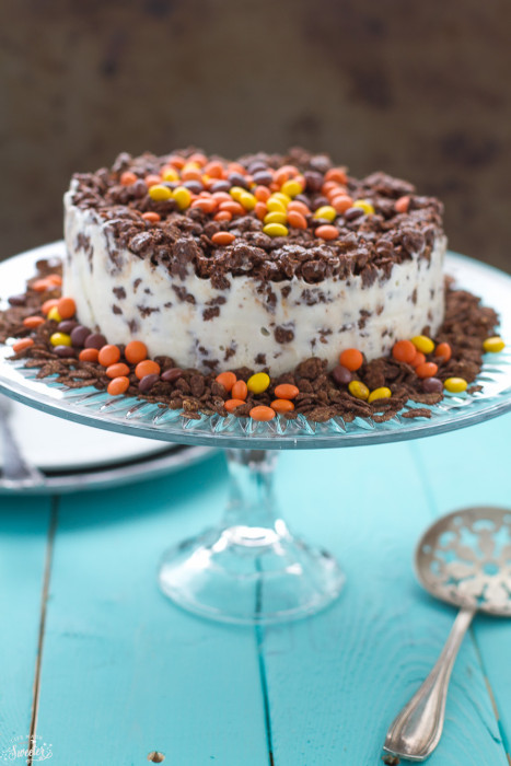 Front view of peanut butter chocolate ice cream cake with serving utensil on blue base.