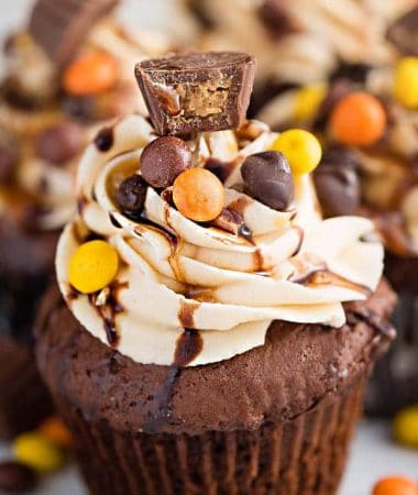 Close-up of a Peanut Butter Chocolate Cupcake topped with peanut butter frosting, Reese's pieces, a mini Reese's peanut butter cup