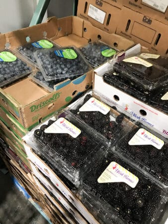 Cat Satiety Weight Management Dry