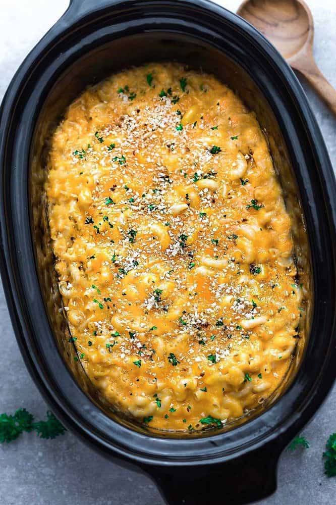 Freshly Made Macaroni and Cheese Garnished with Finely Chopped Parsley and Toasted Panko Crumbs