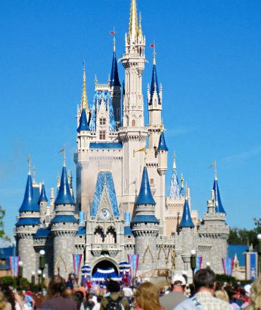 Disney World Travel Guide castle
