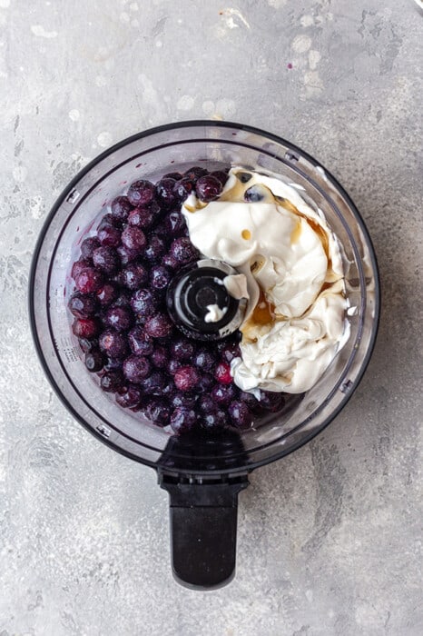 Overhead view of blueberry ice cream ingredients in a food processor