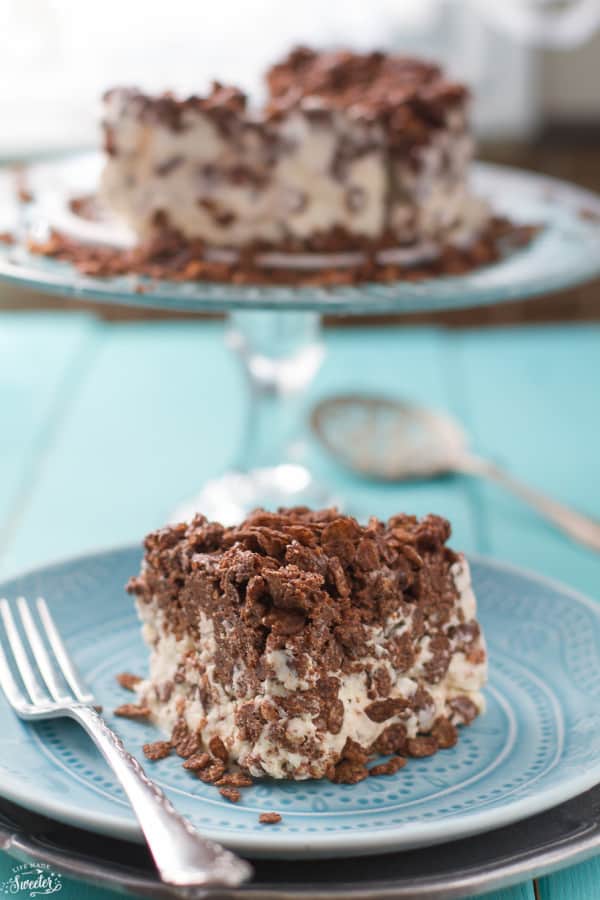 This chocolate ice cream cake recipe comes together within minutes.