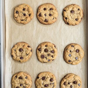 Top view of nine baked gluten free chocolate chip cookies on a parchment paper on a baking sheet