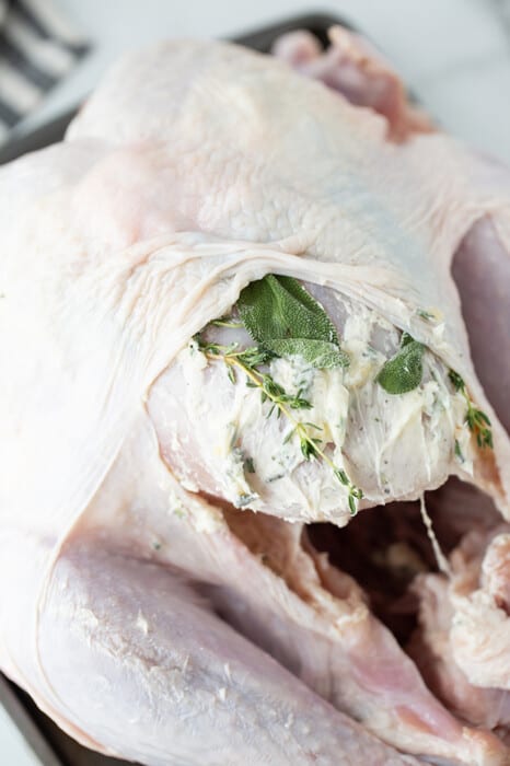 Close-up side view of a raw Whole Turkey