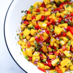 Portrait close-up shot of a serving of fresh peach salsa in a white bowl