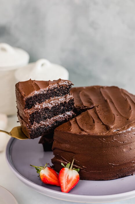 Gluten Free Chocolate Cake - Healthy Paleo Cake Recipe