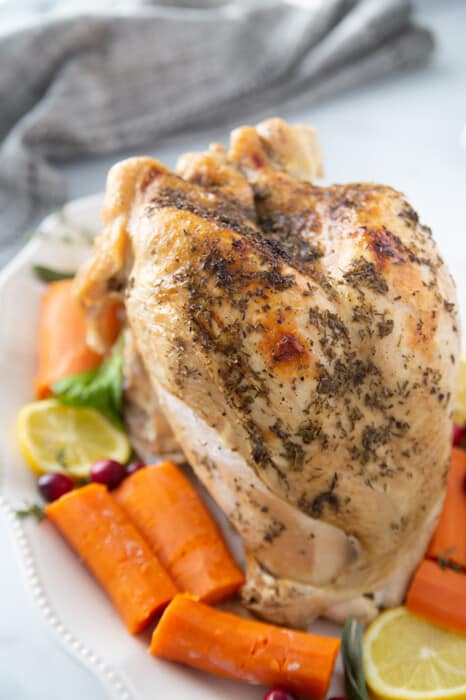 Instant Pot Turkey Breast Recipe | Easy & Healthy Thanksgiving Turkey