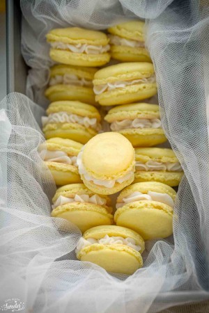 Lemon French Macarons filled with coconut buttercream make the perfect sunny sweet treat!!