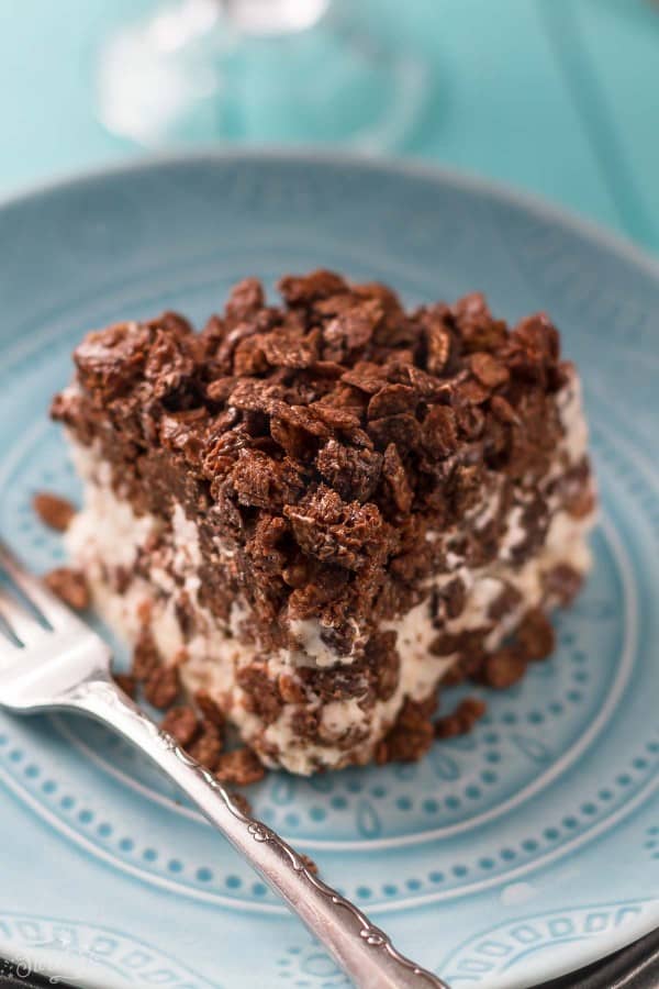 Close up image of chocolate ice cream cake recipe with a coffee crunch.