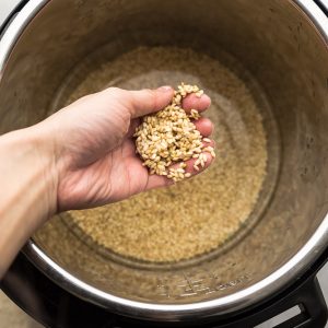 A Handful of Uncooked Brown Rice Grains Being Held Above the Inner Pot