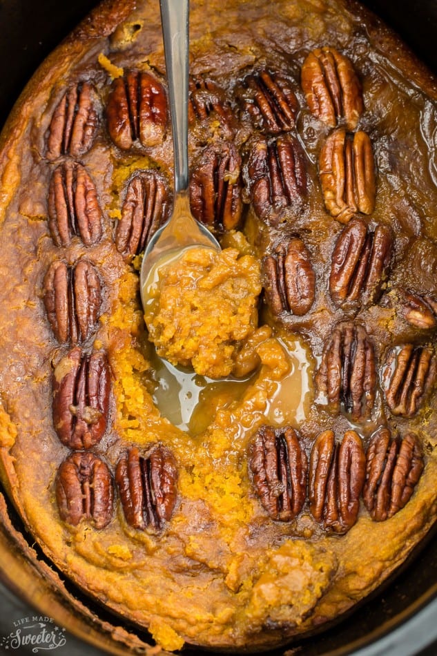 Slow Cooker Pumpkin Pecan Pudding Cake makes the perfect decadent dessert. Best of all, it's so easy to make and cooks entirely in your crock-pot!