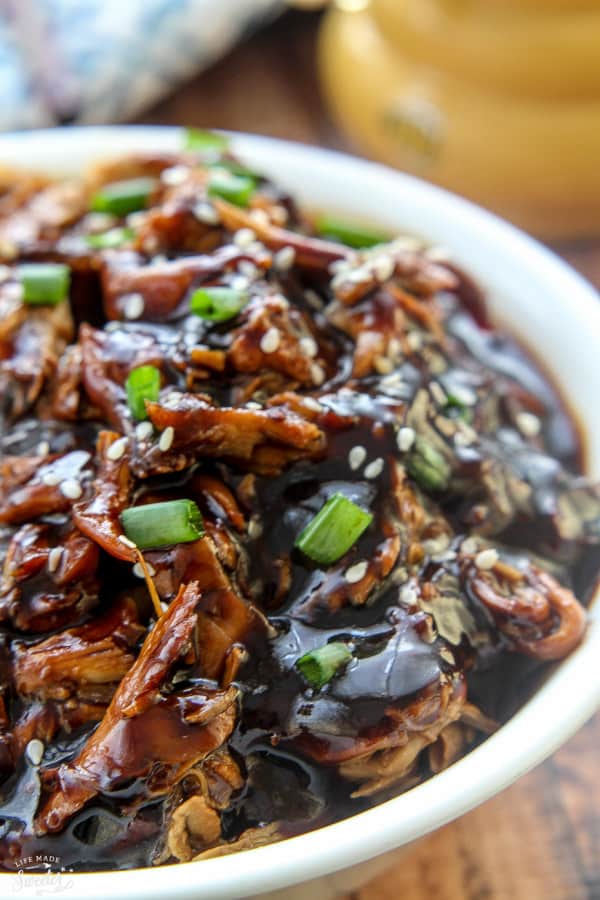 Close-up of Slow Cooker Honey Garlic Chicken in a bowl