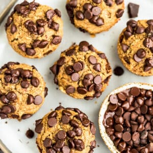 Top view of six paleo zucchini muffins on a white plate with chocolate chips