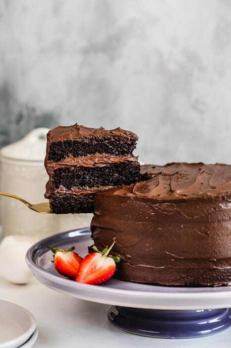 Gluten Free Chocolate Cake - Healthy Paleo Cake Recipe