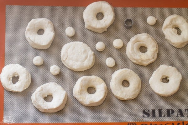 Donut dough cut into donut shapes on a baking mat