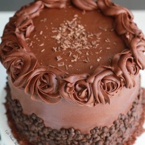 Single Layer Fudgy Chocolate Cake - Always Eat Dessert