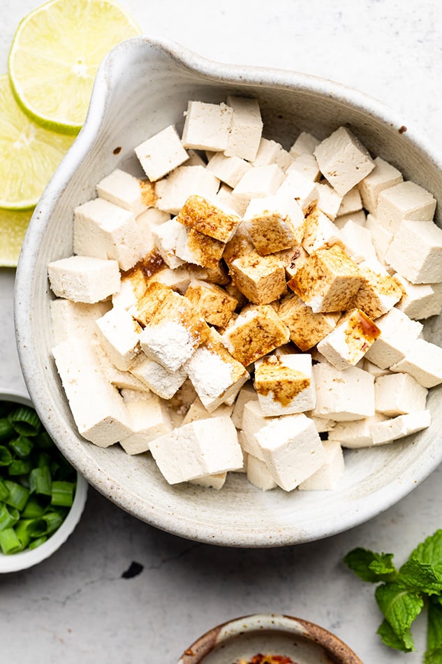 Cubes of uncooked tofu in a ceramic bowl with arrowroot starch, sea salt, garlic powder and coconut aminos on top